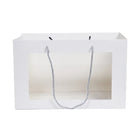 Transparent Window Gift Bags 10 Pack 3 Colours