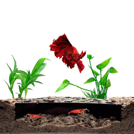 2pcs Shrimp Hideout Cave Shelter Fish Tank Decoration Aquarium Accessories