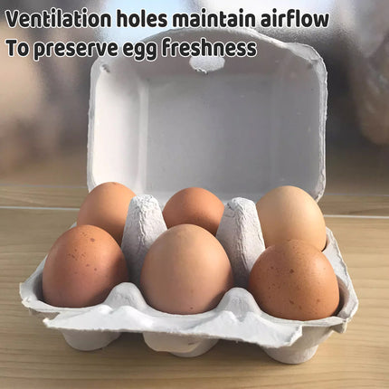 200PCS Paper Egg Tray 6 Slot Molded Pulp Leak-Proof for Egg Packaging Use
