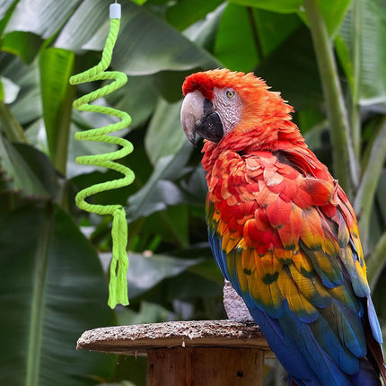 Bird Climbing Rope Toy Cotton Spiral Ladder Parrot Cage Hanging Swing Pet Toy