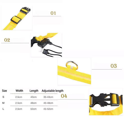 S Size USB Rechargeable LED Dog Collar Nylon Glow Flashing Light Up Safety Pet Collars