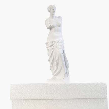 Venus Resin Sculpture Furniture Decoration Classic Style for Living Room Decor