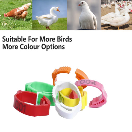 Chicken Duck Goose Leg Rings 100pcs Numbered Ankle Bands Bird ID Tags Farm Use