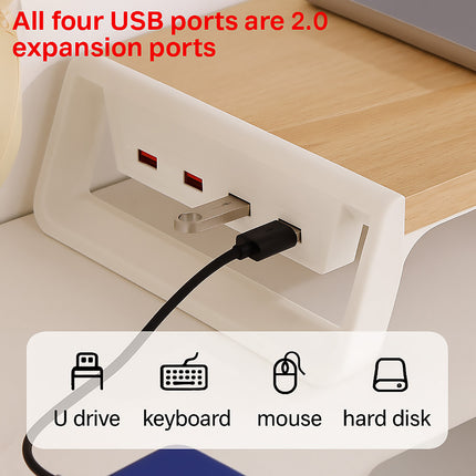 Computer Monitor Stand with 4 USB Hub Stable Riser Desk Organiser Space Saving