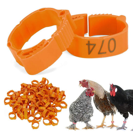 Chicken Duck Goose Leg Rings 100pcs Numbered Ankle Bands Bird ID Tags Farm Use