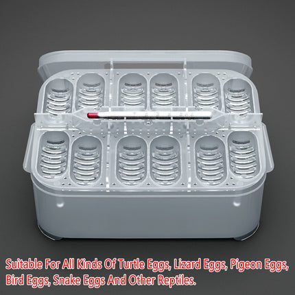 Lizard Hatching Box 12 Holes Reptile Egg Incubator Clear Container for Breeding
