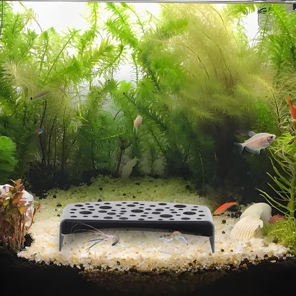 2pcs Shrimp Hideout Cave Shelter Fish Tank Decoration Aquarium Accessories