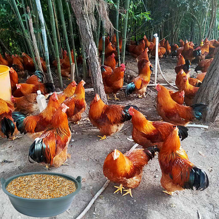 Chicken Feeding Basin 6pcs Plastic Breeding Trough Bowl Farm Feeder Container