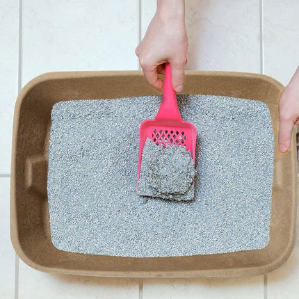 10pcs Disposable Litter Box Pulp Degradable Pet Tray Travel Portable Eco Use