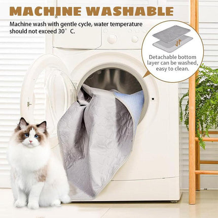 Large Double Layer Litter Mat Waterproof Non Slip Cat Trapping Pad Easy to Clean