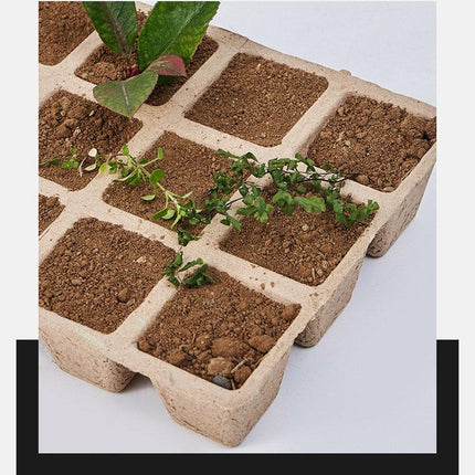 15pcs Pulp Seedling Cups 12 Compartments Nursery Incubators Plant Grow Trays