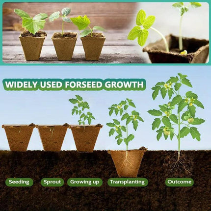 15pcs Pulp Seedling Cups 12 Compartments Nursery Incubators Plant Grow Trays