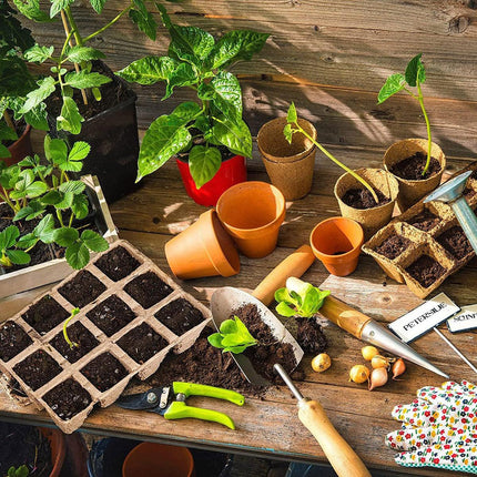 15pcs Pulp Seedling Cups 12 Compartments Nursery Incubators Plant Grow Trays