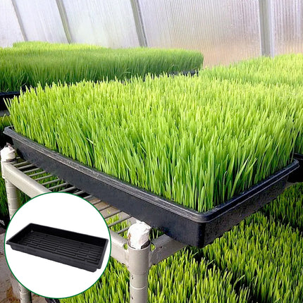 10pcs Garden Black Plastic Rectangle Plant Seedling Propagation Seeding Tray