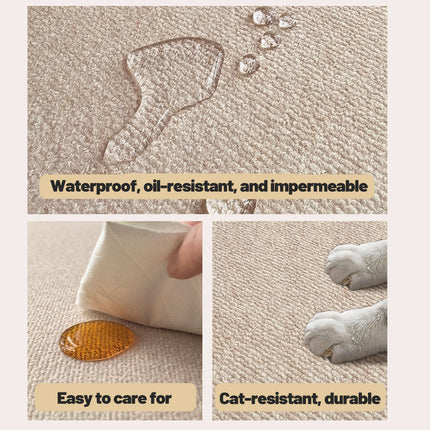 Premium Front Door Carpet Non Slip Indoor Outdoor Entrance Mat Durable Dust Proof