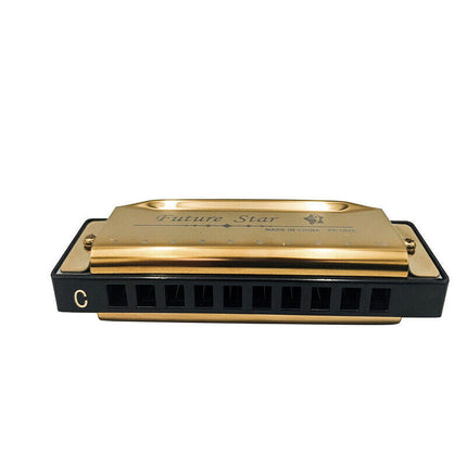 Harmonica 10 Holes Key Of C Blue Blues Harp Stainless Steel Brass