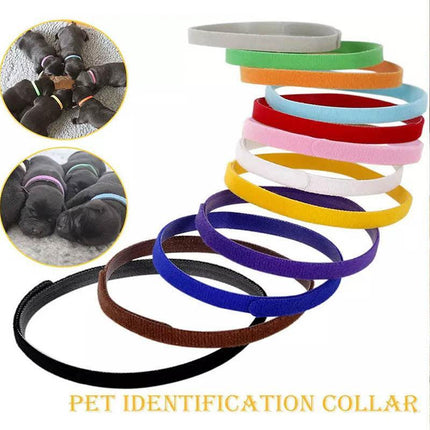 12 Colours Collar Bands Pet Puppy Kitten Identification Collar Tags - Aimall