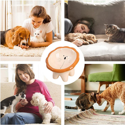 Cartoon Lion Pet Bowl Food and Water Dish for Cats and Dogs Feeding Accessories