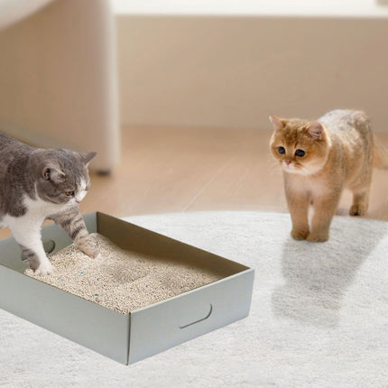5pcs Disposable Cat Litter Box Folding Portable Outdoor Car Travel Pet Toilet