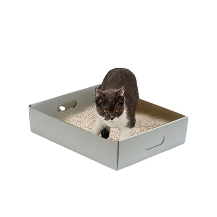 5pcs Disposable Cat Litter Box Folding Portable Outdoor Car Travel Pet Toilet
