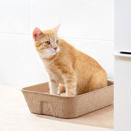 10pcs Disposable Litter Box Pulp Degradable Pet Tray Travel Portable Eco Use