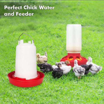 Chicken Feeder Waterer Set Poultry Kettle With Feed Bucket Farm Coop Feeding Use