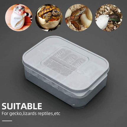 Lizard Hatching Box 12 Holes Reptile Egg Incubator Clear Container for Breeding