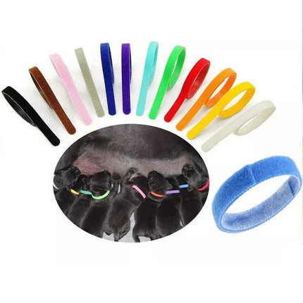 12 Colours Collar Bands Pet Puppy Kitten Identification Collar Tags - Aimall