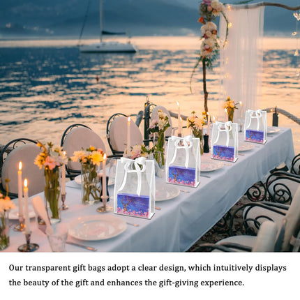 Reusable Frosted Plastic Gift Bags with Handle for Gifts Flowers 20 Pack