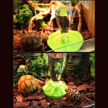 Reptile Water Bowl with Bottle for Lizard Gecko Snake Inverted Bottle Dispenser