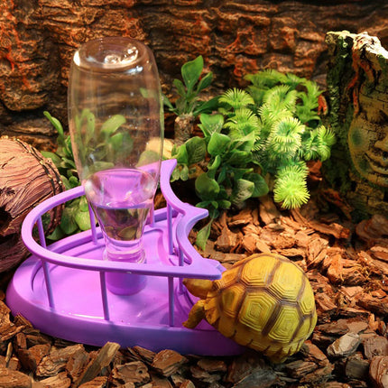 Reptile Water Bowl with Bottle for Lizard Gecko Snake Inverted Bottle Dispenser