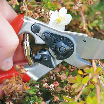 5pcs Branches Coil Springs for Garden Pruning Fruit Trees Home Garden Plant Care