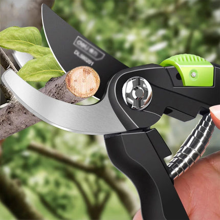 5pcs Branches Coil Springs for Garden Pruning Fruit Trees Home Garden Plant Care