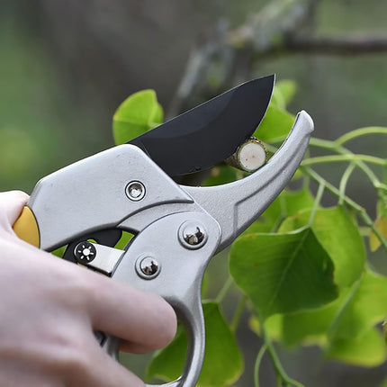 Pruning Shears Garden Fruit Branch Shears for Pruning Branches Sharp Fruit Trees