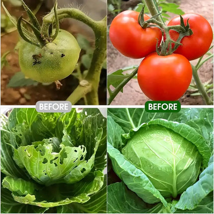 1pc Garden Plant Protector Cover White Fiberglass Net for Lawn Flower Care Use