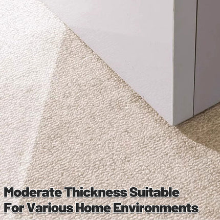 Premium Front Door Carpet Non Slip Indoor Outdoor Entrance Mat Durable Dust Proof