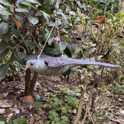 Garden Eagle Rodent and Bird Scaring Simulation Eagle Outdoor Decoration Yard