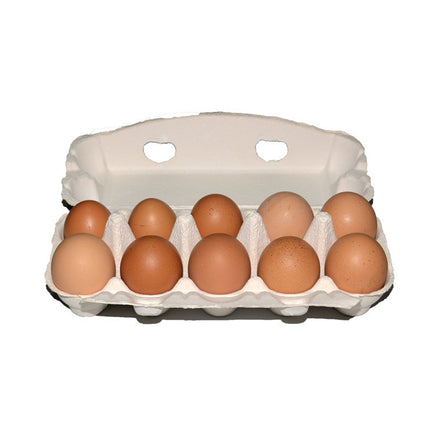 150PCS Paper Egg Tray 10 Slot Molded Pulp Leak-Proof for Egg Packaging Use