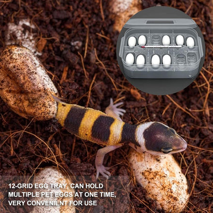 Lizard Hatching Box 12 Holes Reptile Egg Incubator Clear Container for Breeding