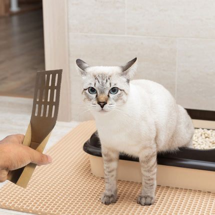 20pcs Disposable Cat Litter Scoop Biodegradable Excrement Shovel One Time Tool