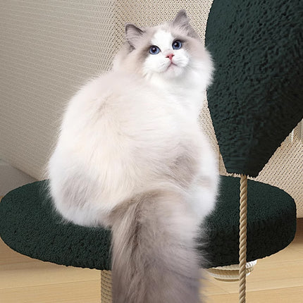 Cat Scratching Post Toy Turntable Climbing Frame Board Interactive Furniture