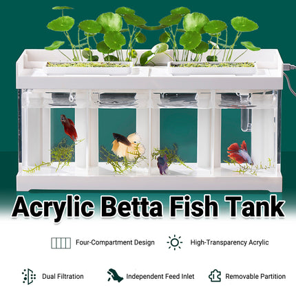 Acrylic Betta Fish Tank Four Grid Partition Clear for Desktop Home Office Decor