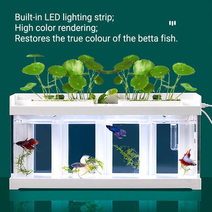 Acrylic Betta Fish Tank Four Grid Partition Clear for Desktop Home Office Decor