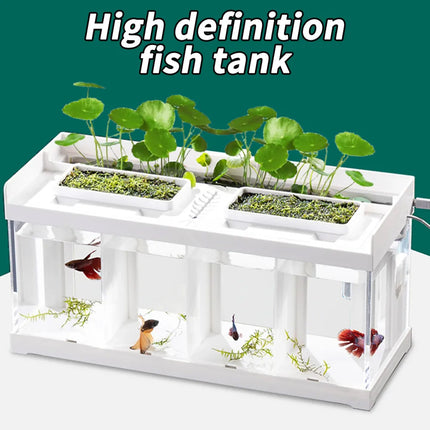 Acrylic Betta Fish Tank Four Grid Partition Clear for Desktop Home Office Decor