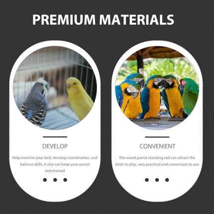 Parrot Acrylic Suction Cup Perch Pet Toy Non Slip for Small Medium Parrots