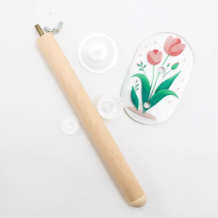 Parrot Acrylic Suction Cup Perch Pet Toy Non Slip for Small Medium Parrots