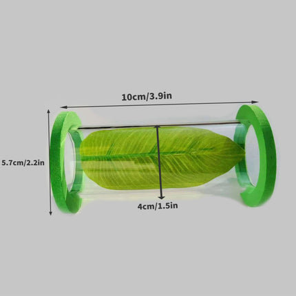 Acrylic Tube Tunnel Betta Bed Transparent Fish Tank Decor Superior Material