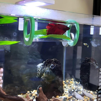 Acrylic Tube Tunnel Betta Bed Transparent Fish Tank Decor Superior Material