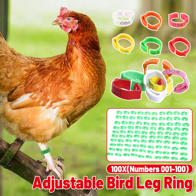 Chicken Duck Goose Leg Rings 100pcs Numbered Ankle Bands Bird ID Tags Farm Use