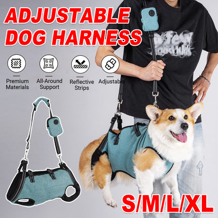 Adjustable Dog Harness Soft Reflective for Small Medium Dogs Walking Training